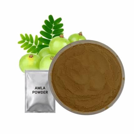 High Quality Amla Powder Extract Certified Organic Powder Amla Powder