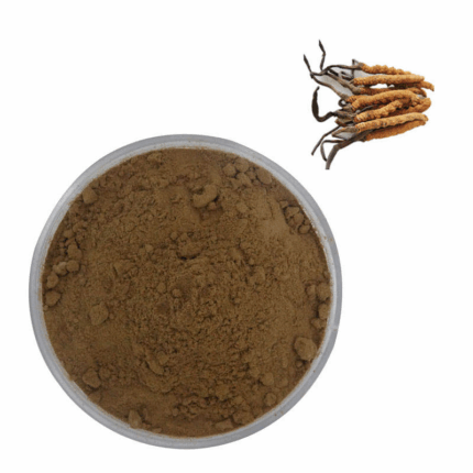 High Quality Cordyceps CS-4/Cordyceps Militaris Extract/Cordyceps Sinensis
