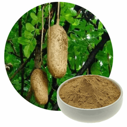 Best Price 100% Natural Kigelia Africana Fruit Powder Kigelia Power Kigelia African Power