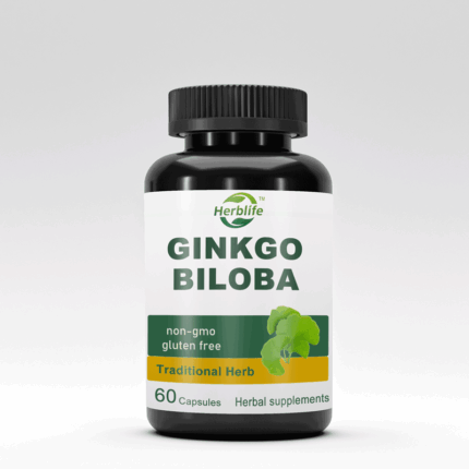 Now Supplements Private Label OEM/ODM Wholesale Price Ginkgo Biloba Extract Capsules 500mg Organic Ginkgo Biloba Capsules