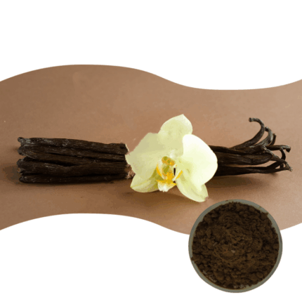 Indonesia Vanilla Beans Vanilla Beans Wholesale Vanilla Beans